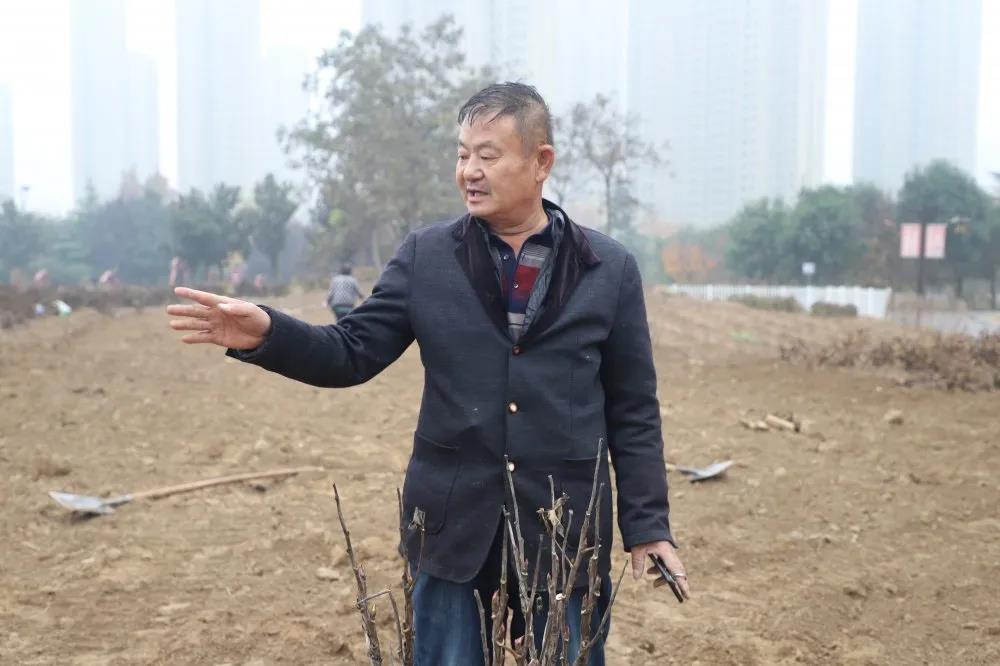 微信图片_20201119095214.jpg