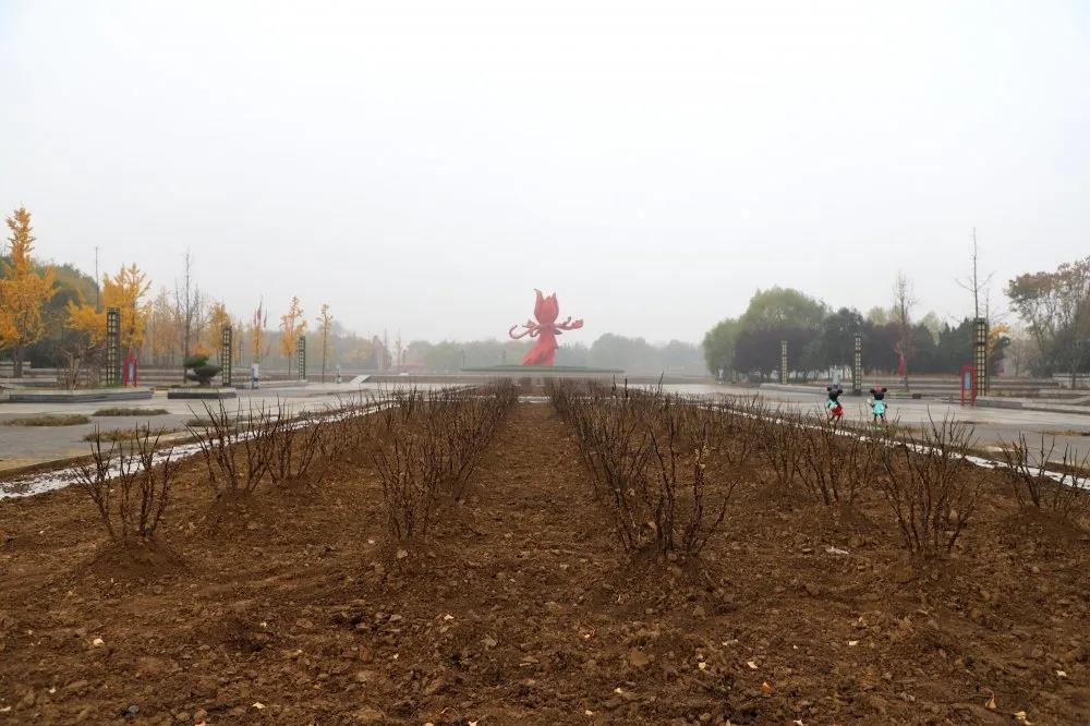 微信图片_20201119095225.jpg
