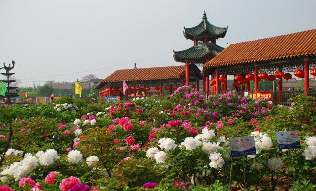 曹州百花园 - 菏泽文化旅游投资集团有限公司