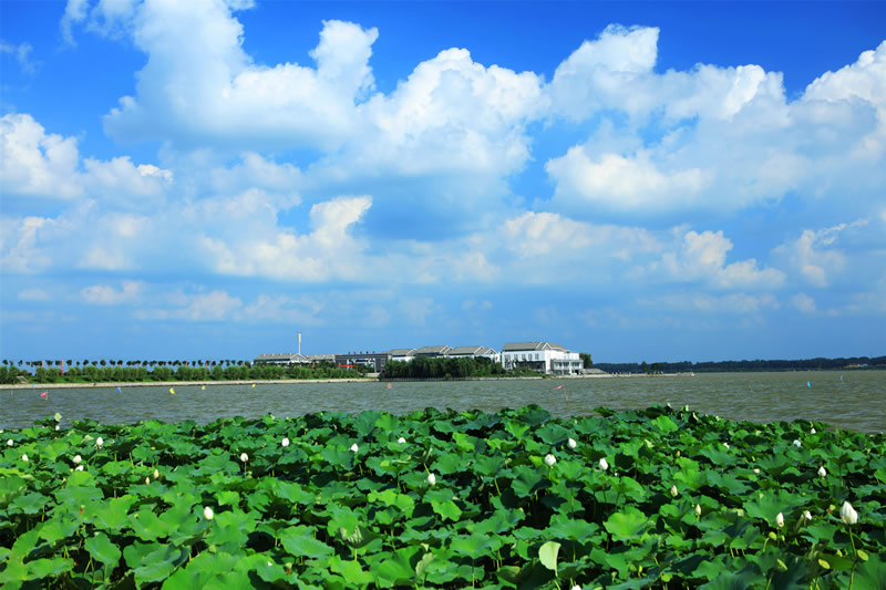 单县浮龙湖景点图片